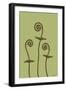 Dichromatic Fiddleheads III-Vanna Lam-Framed Art Print