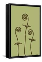 Dichromatic Fiddleheads III-Vanna Lam-Framed Stretched Canvas
