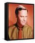 Dick Sargent-null-Framed Stretched Canvas