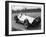 Dick Seaman's Mercedes, Donington Grand Prix, 1938-null-Framed Photographic Print