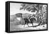 Dick Turpin Shoots Fellow Highwayman, Tom King-null-Framed Stretched Canvas