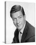 Dick Van Dyke, The Dick Van Dyke Show (1961)-null-Stretched Canvas