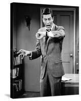 Dick Van Dyke, The Dick Van Dyke Show (1961)-null-Stretched Canvas