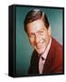 Dick Van Dyke-null-Framed Stretched Canvas