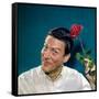 Dick Van Dyke-null-Framed Stretched Canvas