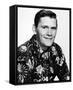 Dick York-null-Framed Stretched Canvas