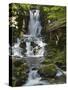 Dickson Falls in Fundy National Park, New Brunswick, Canada, North America-Michael DeFreitas-Stretched Canvas