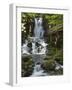 Dickson Falls in Fundy National Park, New Brunswick, Canada, North America-Michael DeFreitas-Framed Photographic Print