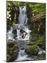 Dickson Falls in Fundy National Park, New Brunswick, Canada, North America-Michael DeFreitas-Mounted Photographic Print