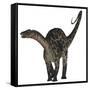 Dicraeosaurus Dinosaur-Stocktrek Images-Framed Stretched Canvas