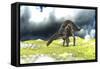 Dicraeosaurus Grazing an Open Field-null-Framed Stretched Canvas