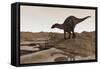 Dicraeosaurus on Desert Terrain-Stocktrek Images-Framed Stretched Canvas