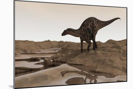 Dicraeosaurus on Desert Terrain-Stocktrek Images-Mounted Art Print