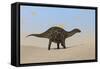 Dicraeosaurus Walking across a Barren Landscape-null-Framed Stretched Canvas