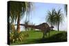 Dicraeosaurus Walking across a Field-null-Stretched Canvas