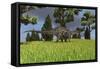 Dicraeosaurus Walking across an Open Field-null-Framed Stretched Canvas