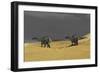 Dicraeosaurus Walking across Prehistoric Grasslands-null-Framed Art Print