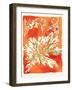 Dictyota dichotoma-Maja Gunnarsdottir-Framed Giclee Print