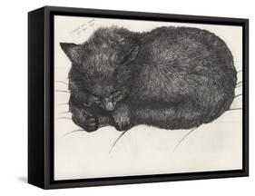 Diddy Big Face, 1997-Vincent Alexander Booth-Framed Stretched Canvas