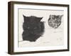 Diddybigface and Colliebeastie, 1996-Vincent Alexander Booth-Framed Premium Giclee Print