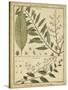 Diderot Antique Ferns I-Daniel Diderot-Stretched Canvas
