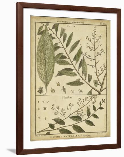 Diderot Antique Ferns I-Daniel Diderot-Framed Art Print