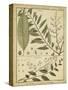 Diderot Antique Ferns I-Daniel Diderot-Stretched Canvas