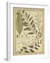 Diderot Antique Ferns I-Daniel Diderot-Framed Art Print