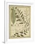 Diderot Antique Ferns I-Daniel Diderot-Framed Art Print