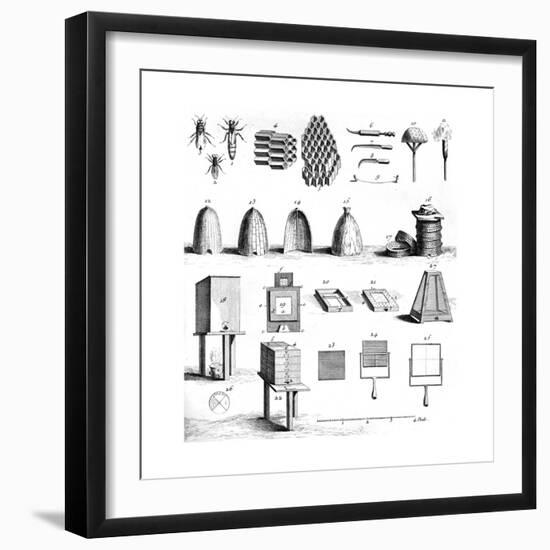 Diderot Hives-null-Framed Giclee Print