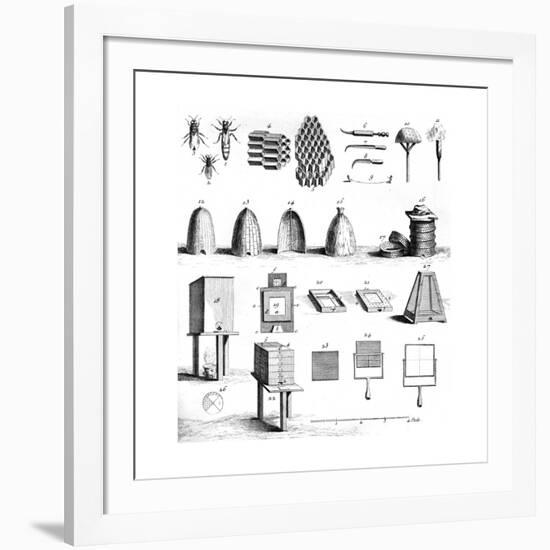 Diderot Hives-null-Framed Giclee Print