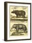 Diderot's Elephant and Rhino-Denis Diderot-Framed Art Print