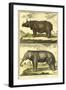 Diderot's Elephant and Rhino-Denis Diderot-Framed Art Print