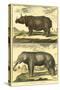 Diderot's Elephant and Rhino-Denis Diderot-Stretched Canvas
