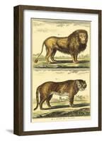 Diderot's Lion and Tiger-Denis Diderot-Framed Art Print