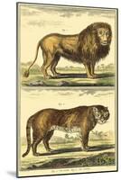 Diderot's Lion and Tiger-Denis Diderot-Mounted Art Print