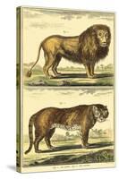 Diderot's Lion and Tiger-Denis Diderot-Stretched Canvas