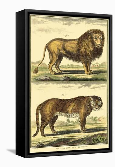 Diderot's Lion and Tiger-Denis Diderot-Framed Stretched Canvas