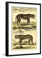 Diderot's Panther and Leopard-Denis Diderot-Framed Art Print