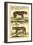 Diderot's Panther and Leopard-Denis Diderot-Framed Art Print