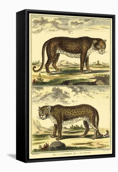 Diderot's Panther and Leopard-Denis Diderot-Framed Stretched Canvas