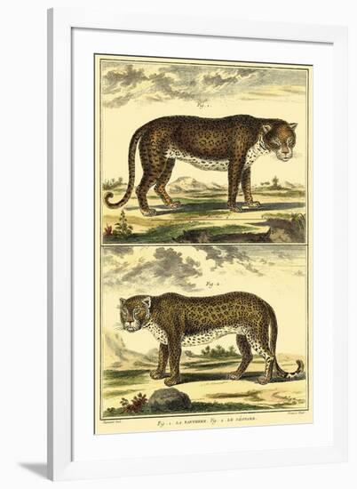 Diderot's Panther and Leopard-Denis Diderot-Framed Art Print