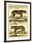 Diderot's Panther and Leopard-Denis Diderot-Framed Art Print