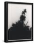 Essential Black