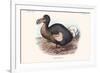 Didus Cucullatus, Dodo,-Lionel Walter Rothschild-Framed Premium Giclee Print