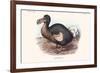 Didus Cucullatus, Dodo,-Lionel Walter Rothschild-Framed Premium Giclee Print