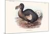 Didus Cucullatus, Dodo,-Lionel Walter Rothschild-Mounted Premium Giclee Print