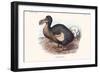 Didus Cucullatus, Dodo,-Lionel Walter Rothschild-Framed Art Print