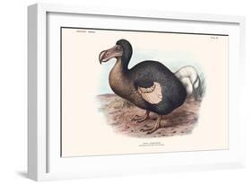 Didus Cucullatus, Dodo,-Lionel Walter Rothschild-Framed Art Print