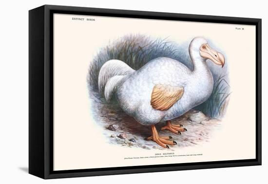 Didus Solitarius Dodo-Lionel Walter Rothschild-Framed Stretched Canvas